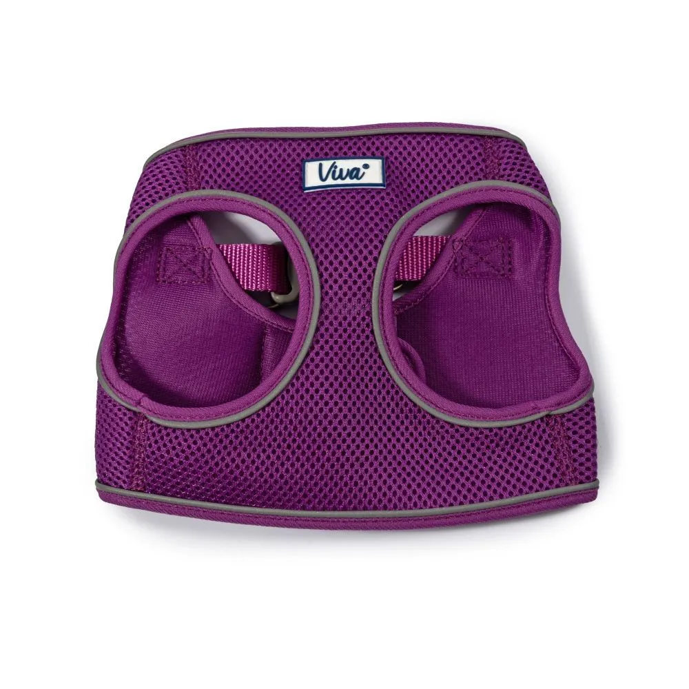 Ancol Viva Small/Med (41-47cm) Purple Step-In Harness