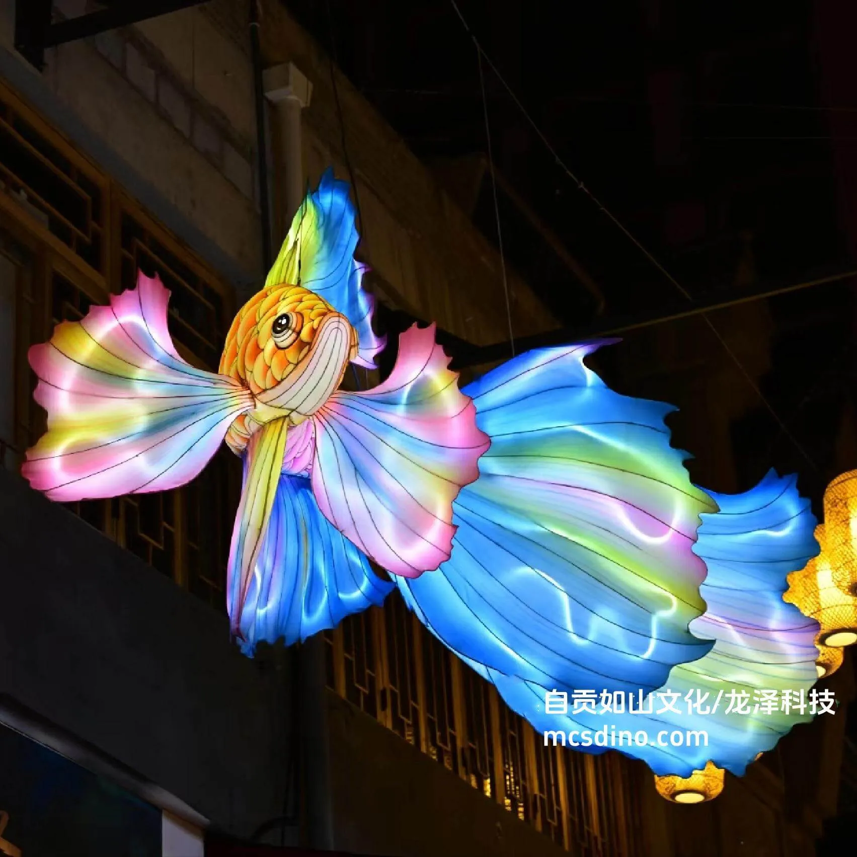 Golden Fish Lantern Festival-LTGF001