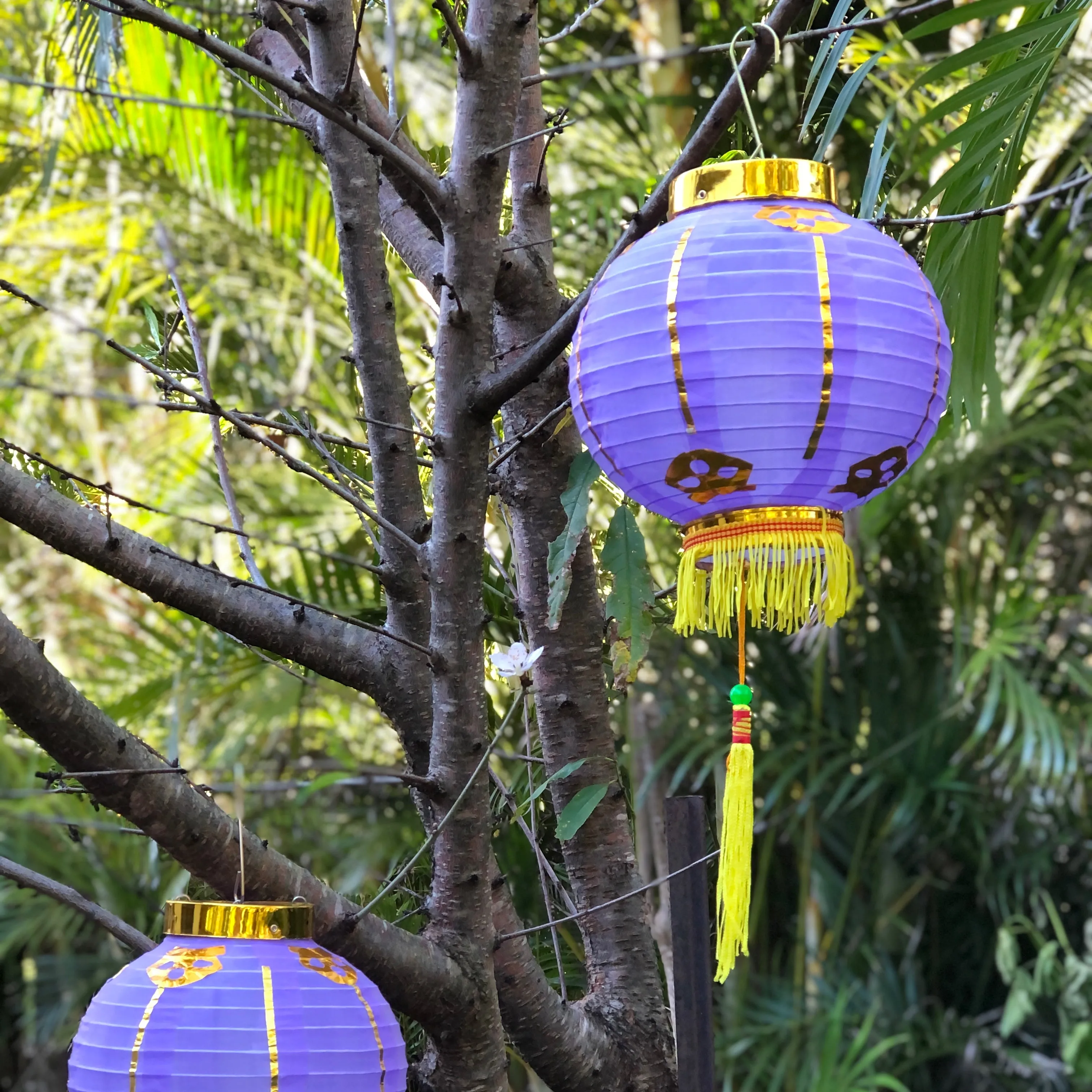 Small Chinese Lanterns (20cm) - pack 2 nylon lanterns