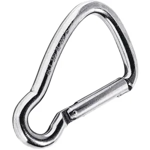 Stainless Steel Carabiners Asymmetric