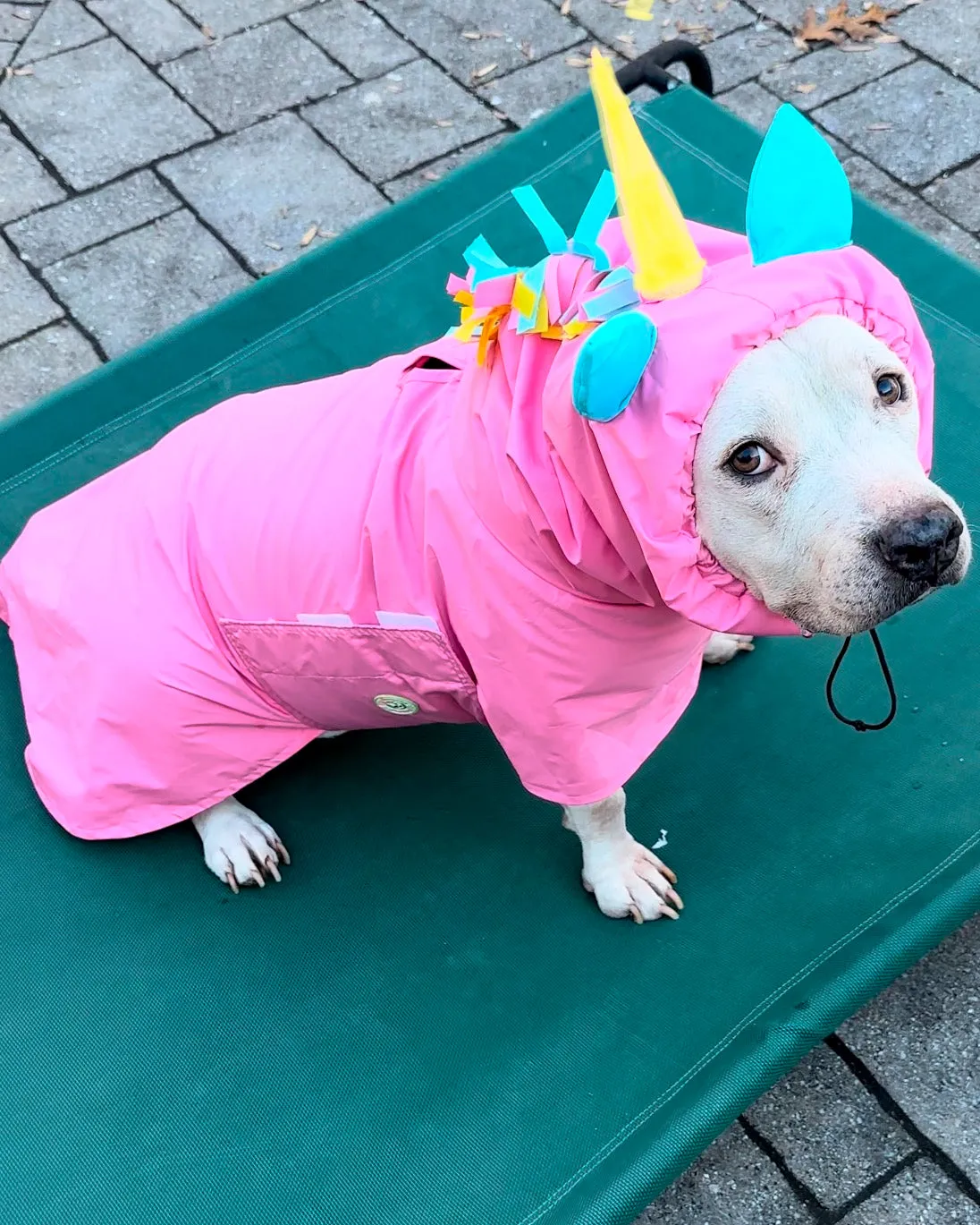 Unicorn Rain Jacket - Cape - Vest